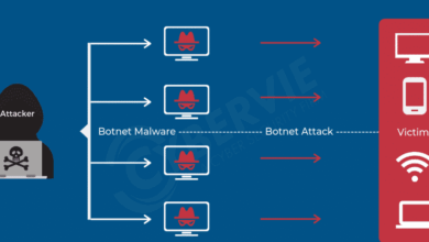 How To Defend Against IoT Botnet In Home Network